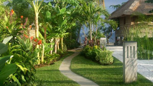 Bali Villa vakantiehuis te huur for rent